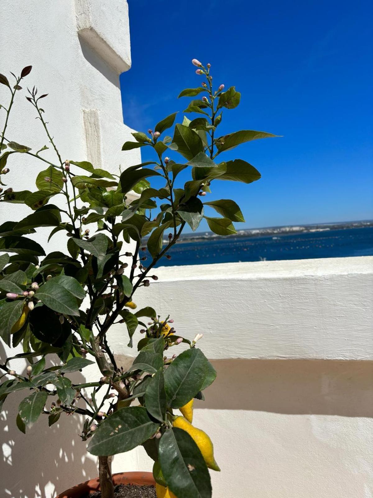 Il Palazzino Apartment Taranto Luaran gambar
